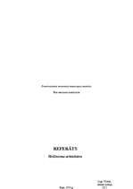 Referāts 'Hellēnisma arhitektūra', 6.