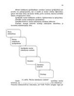 Diplomdarbs 'Muitas maksājumu administrēšana Latvijas muitā', 64.