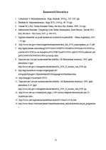 Referāts 'Ekonomiskā un finanšu krīze Eiropas valstīs un tās pārvarēšanas iespējas un ceļi', 13.