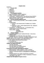 Konspekts 'Mikrobioloģija. Patogēnās sēnītes', 1.