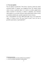 Referāts 'Tieslietu ministrija', 14.