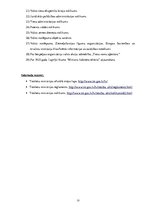 Referāts 'Tieslietu ministrija', 23.