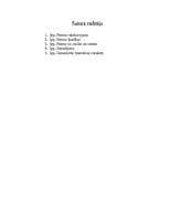 Konspekts 'Neons', 7.