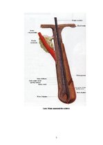 Referāts 'Matu veidi un to kopšana', 7.