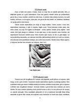 Referāts 'Matu veidi un to kopšana', 9.