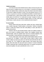 Referāts 'Matu veidi un to kopšana', 19.