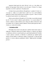 Diplomdarbs 'Atpūtas bāzes "Virogna" darbības analīze un attīstības iespējas', 35.