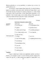 Diplomdarbs 'Atpūtas bāzes "Virogna" darbības analīze un attīstības iespējas', 59.