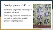 Prezentācija 'Pagarināts salmiņš', 7.