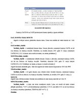 Konspekts 'Datuma un laika funkcijas', 15.