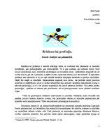 Referāts 'Reklāma kā profesija', 1.