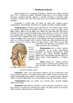 Referāts 'Kognitīvo spēju atkarība no apkārtējiem apstākļiem', 7.