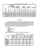 Biznesa plāns 'Uzņēmuma SIA "Paradīze" biznesa plāns', 11.