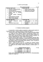 Biznesa plāns 'Uzņēmuma SIA "Paradīze" biznesa plāns', 12.