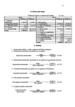 Biznesa plāns 'Uzņēmuma SIA "Paradīze" biznesa plāns', 21.