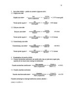 Biznesa plāns 'Uzņēmuma SIA "Paradīze" biznesa plāns', 22.