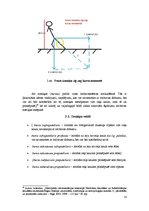 Referāts 'Ceļa locītavas savienojumi', 10.