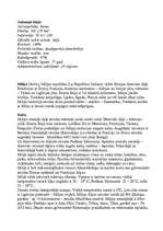 Referāts 'Itālija', 2.