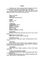 Konspekts 'Čuņčiņš', 1.