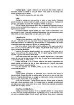 Konspekts 'Čuņčiņš', 2.