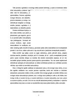 Eseja 'Par māsu saskarsmi no filosofijas viedokļa', 3.