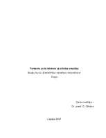 Eseja 'Troksnis un tā ietekme uz cilvēka veselību', 1.