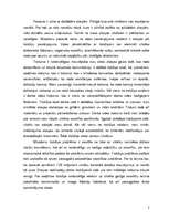 Eseja 'Troksnis un tā ietekme uz cilvēka veselību', 2.