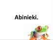 Prezentācija 'Abinieki', 1.