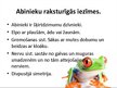 Prezentācija 'Abinieki', 3.