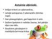 Prezentācija 'Abinieki', 14.