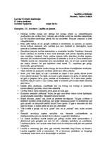 Konspekts 'S.S.Averincevs "Laulība un ģimene"', 1.