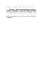 Konspekts 'Dažādi izgudrojumi', 6.