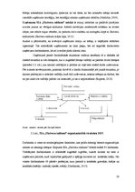 Diplomdarbs 'SIA "Skrīveru saldumi" darbība un pilnveide', 20.