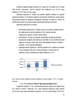 Diplomdarbs 'SIA "Skrīveru saldumi" darbība un pilnveide', 35.
