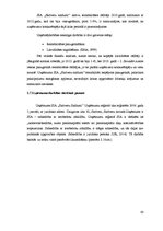 Diplomdarbs 'SIA "Skrīveru saldumi" darbība un pilnveide', 43.