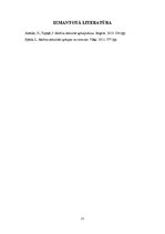 Referāts 'Transporta līdzekļu tehniskās apkopes tehnoloģijas', 21.