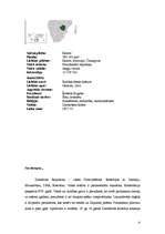 Referāts 'Zimbabve', 4.