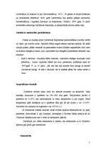 Referāts 'Zimbabve', 5.