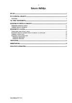 Referāts 'Konkurentu stipro un vājo pušu analīze', 2.