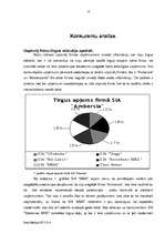 Referāts 'Konkurentu stipro un vājo pušu analīze', 13.