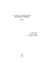 Referāts 'Rainis. Bērnības un skolas gadi', 1.