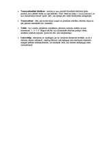 Konspekts 'Filosofijas termini', 5.