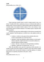 Diplomdarbs 'Risku vadība loģistikas uzņēmumā "X"', 9.