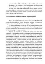 Diplomdarbs 'Risku vadība loģistikas uzņēmumā "X"', 16.