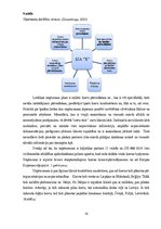 Diplomdarbs 'Risku vadība loģistikas uzņēmumā "X"', 19.