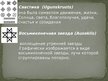 Prezentācija 'Латвийские украшения. Железный век', 24.