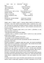 Referāts 'Starpkultūru biznesa attiecības', 17.