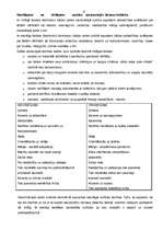 Referāts 'Starpkultūru biznesa attiecības', 21.