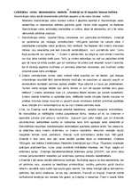 Referāts 'Starpkultūru biznesa attiecības', 41.