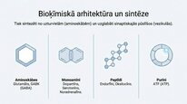 Prezentācija 'Neiromediatori', 4.